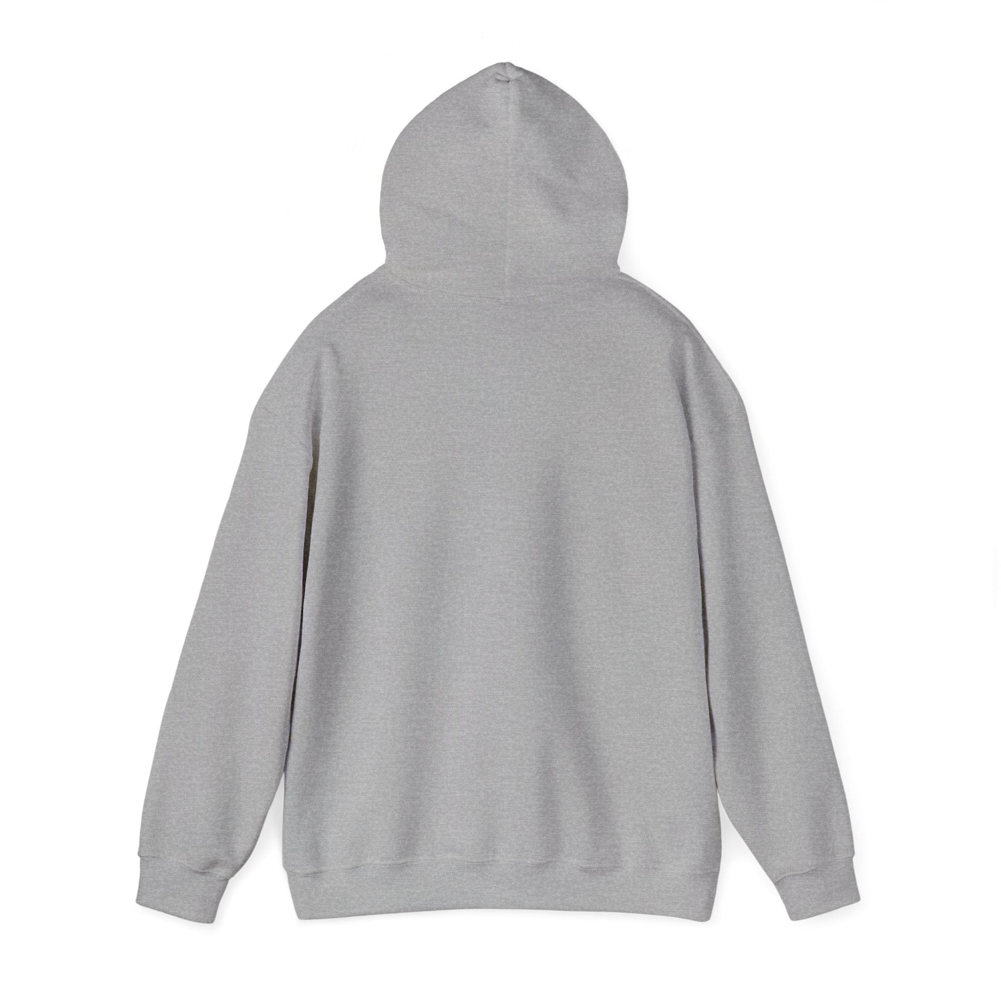 Men’s Raccoon Graphic Hoodie – Cute Animal Streetwear Sweatshirt – Cozy Unisex Pullover - JennyCool
