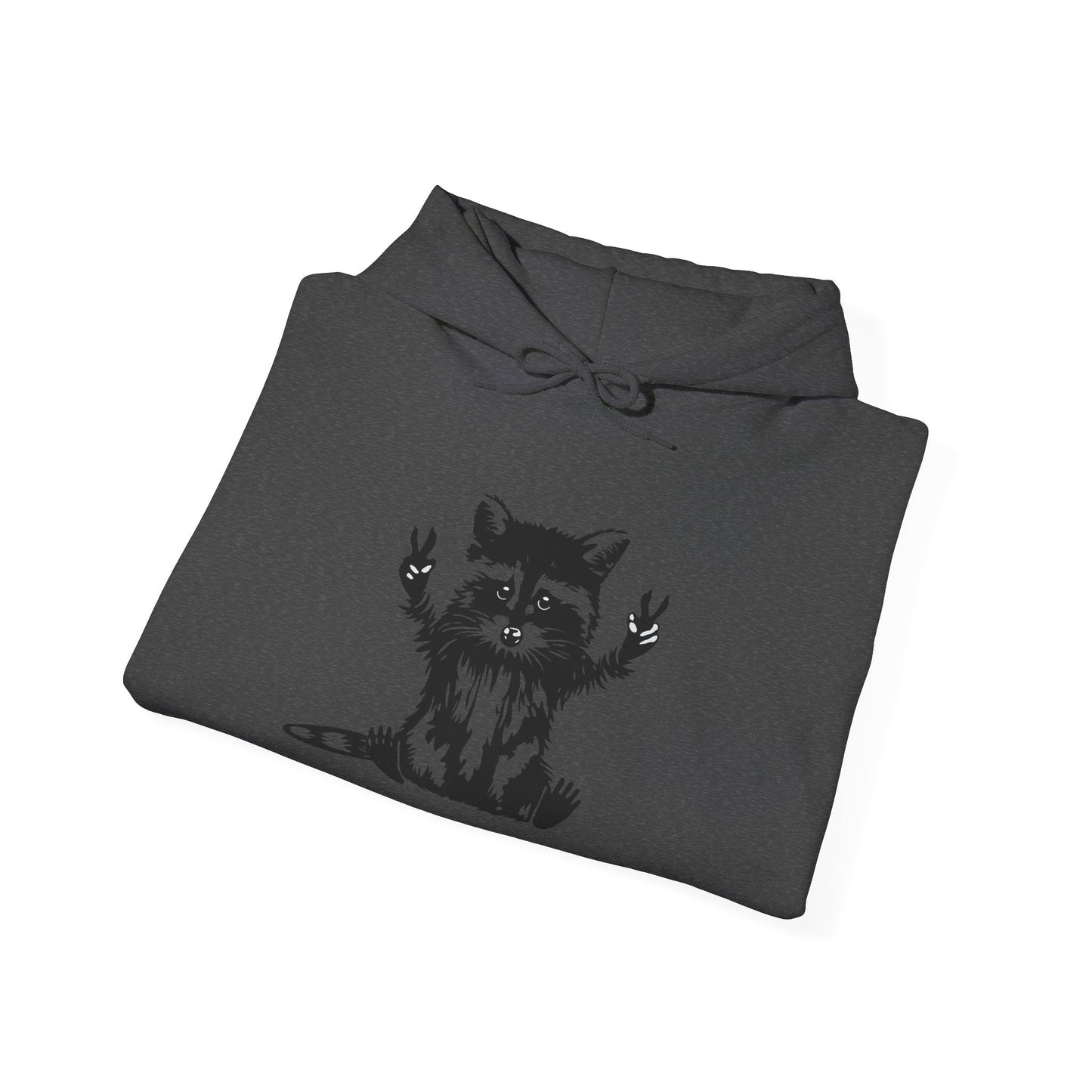 Men’s Raccoon Graphic Hoodie – Cute Animal Streetwear Sweatshirt – Cozy Unisex Pullover - JennyCool