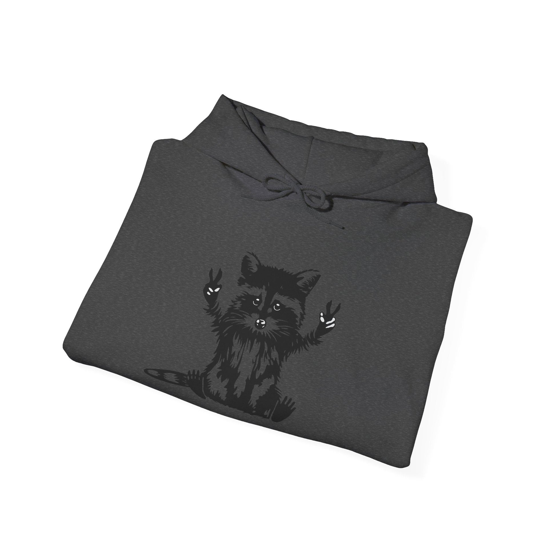 Men’s Raccoon Graphic Hoodie – Cute Animal Streetwear Sweatshirt – Cozy Unisex Pullover - JennyCool