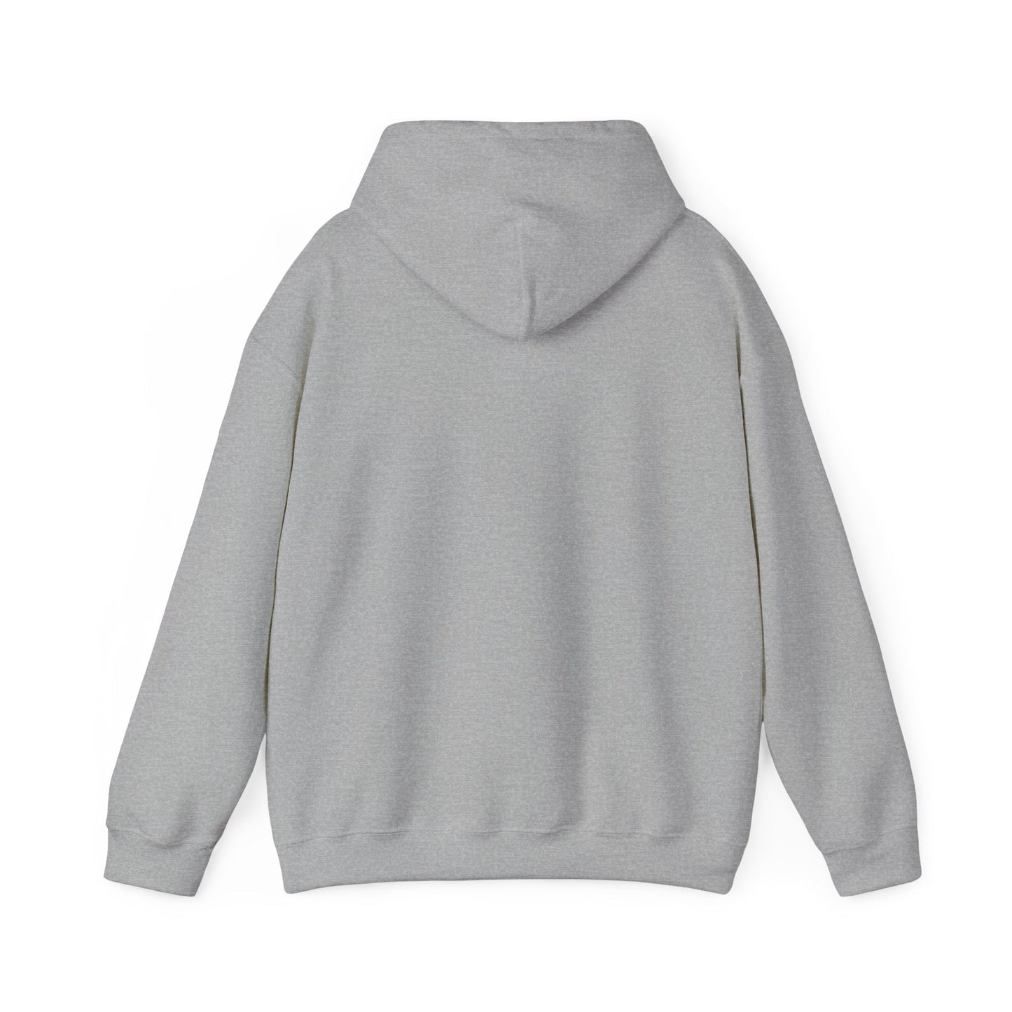 Men’s Raccoon Graphic Hoodie – Cute Animal Streetwear Sweatshirt – Cozy Unisex Pullover - JennyCool