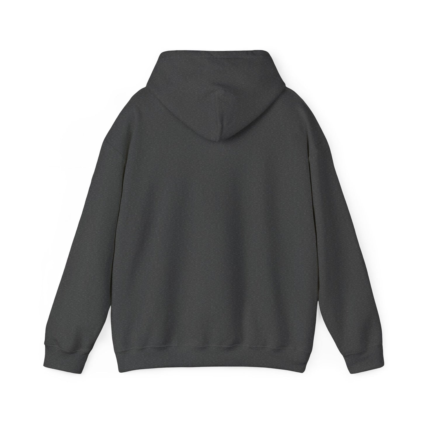 Men’s Raccoon Graphic Hoodie – Cute Animal Streetwear Sweatshirt – Cozy Unisex Pullover - JennyCool