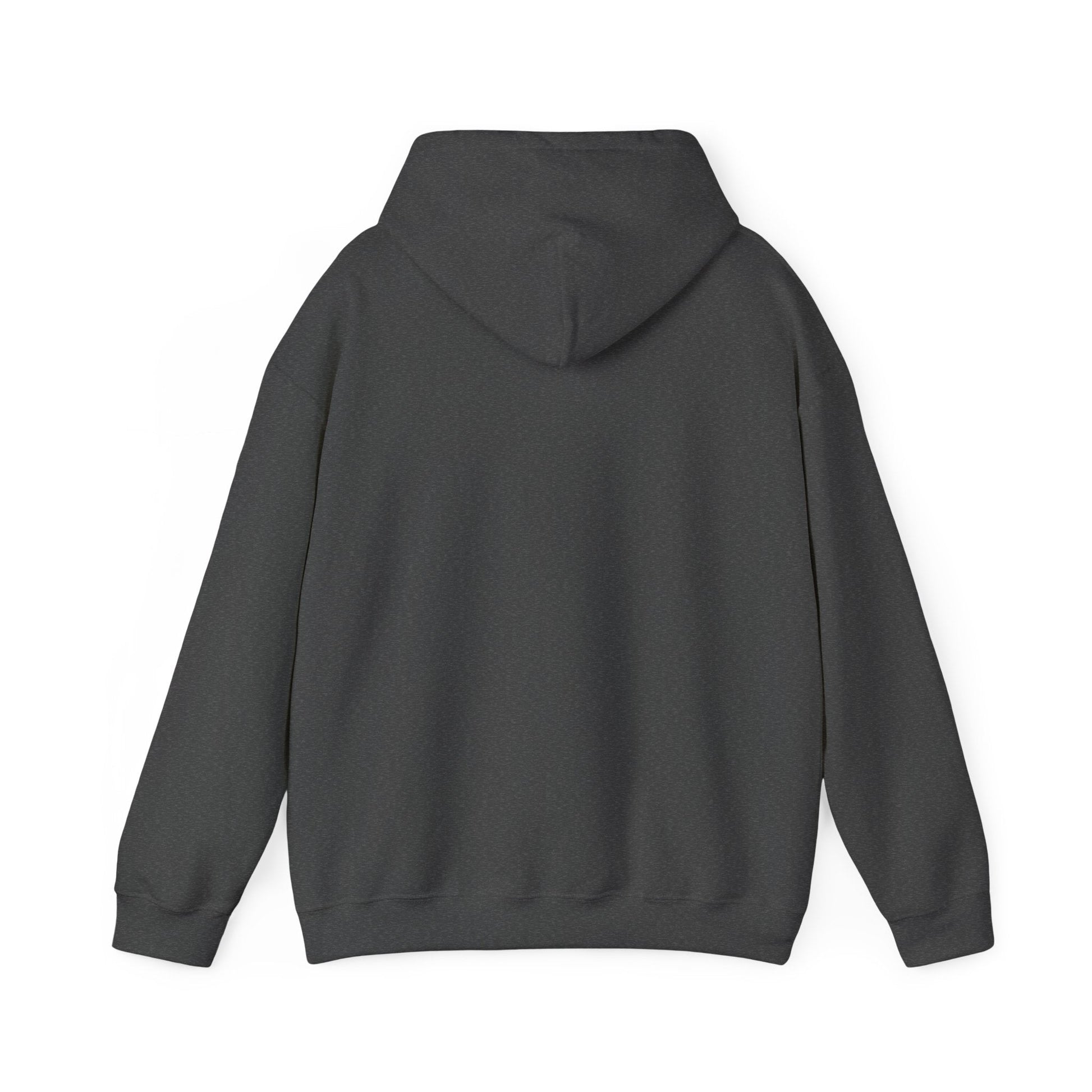 Men’s Raccoon Graphic Hoodie – Cute Animal Streetwear Sweatshirt – Cozy Unisex Pullover - JennyCool