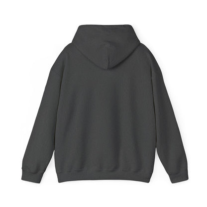 Men’s Raccoon Graphic Hoodie – Cute Animal Streetwear Sweatshirt – Cozy Unisex Pullover - JennyCool