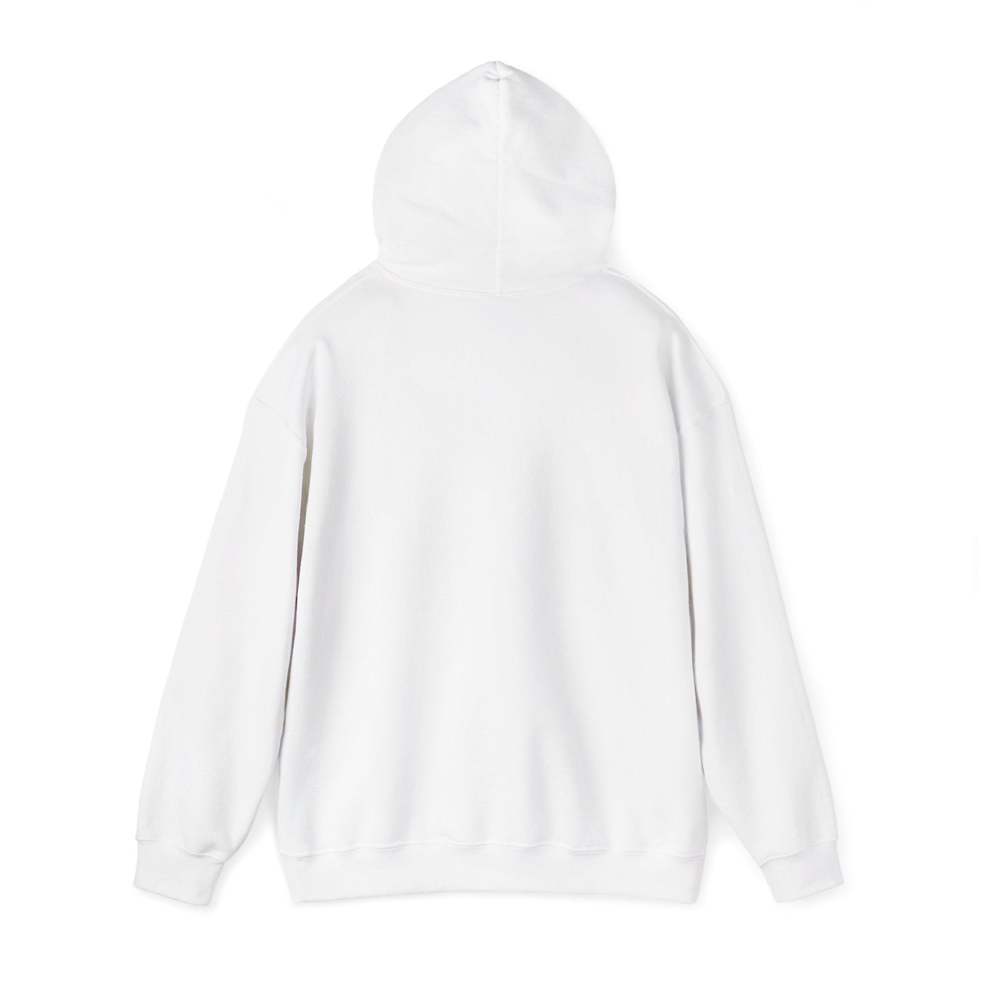 Men’s Raccoon Graphic Hoodie – Cute Animal Streetwear Sweatshirt – Cozy Unisex Pullover - JennyCool