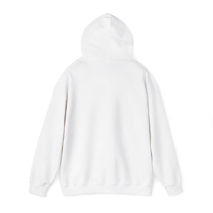 Men’s Raccoon Graphic Hoodie – Cute Animal Streetwear Sweatshirt – Cozy Unisex Pullover - JennyCool