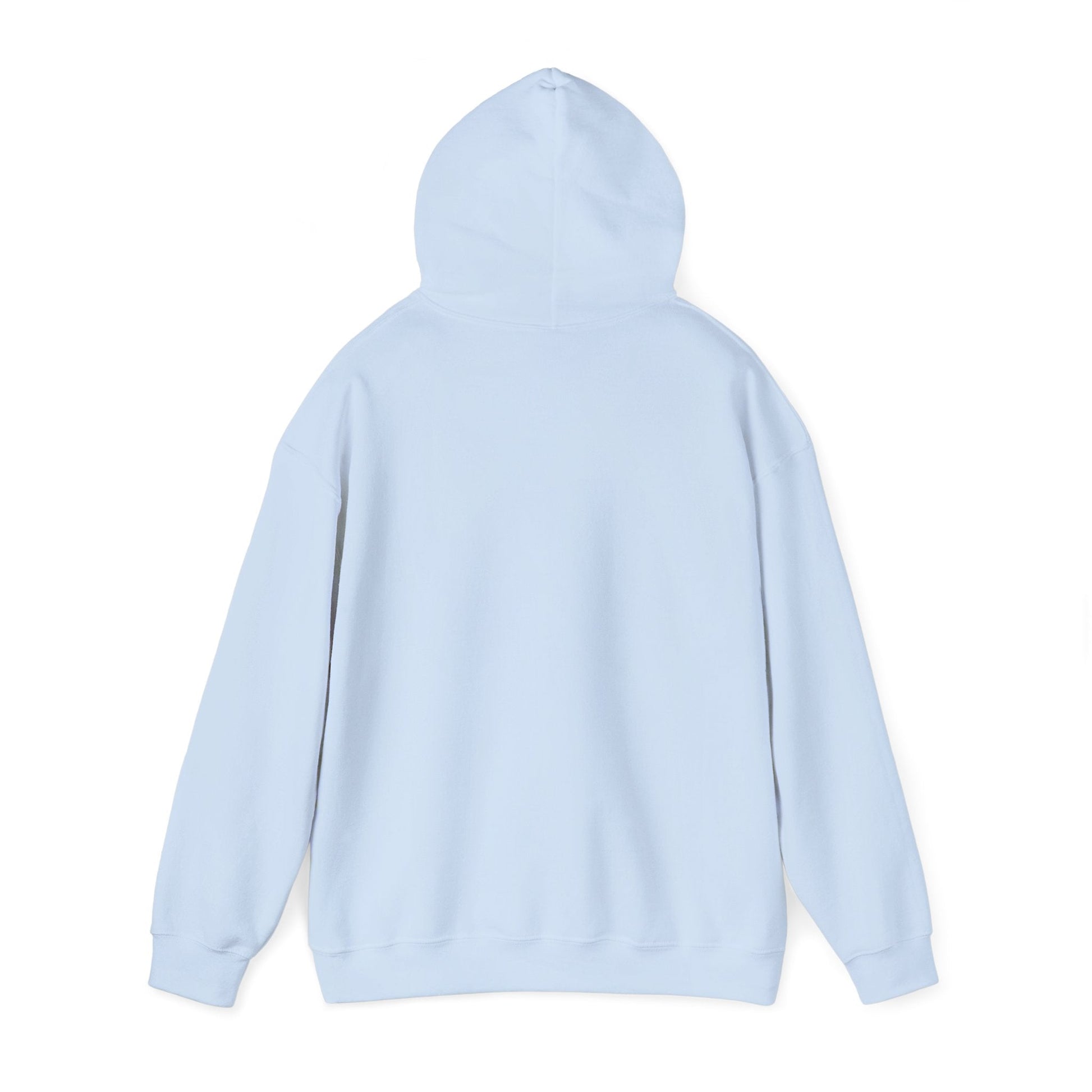 Men’s Raccoon Graphic Hoodie – Cute Animal Streetwear Sweatshirt – Cozy Unisex Pullover - JennyCool