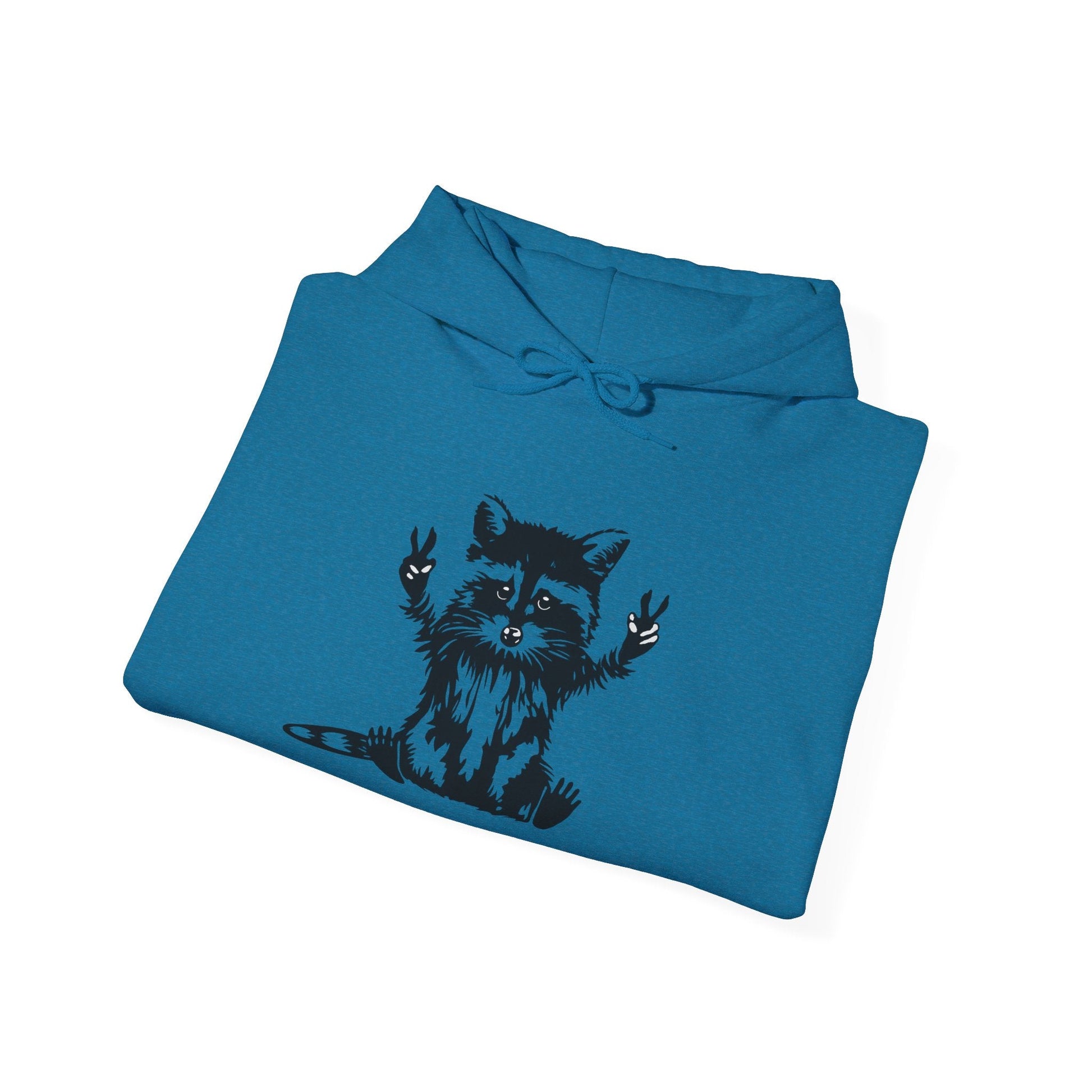 Men’s Raccoon Graphic Hoodie – Cute Animal Streetwear Sweatshirt – Cozy Unisex Pullover - JennyCool
