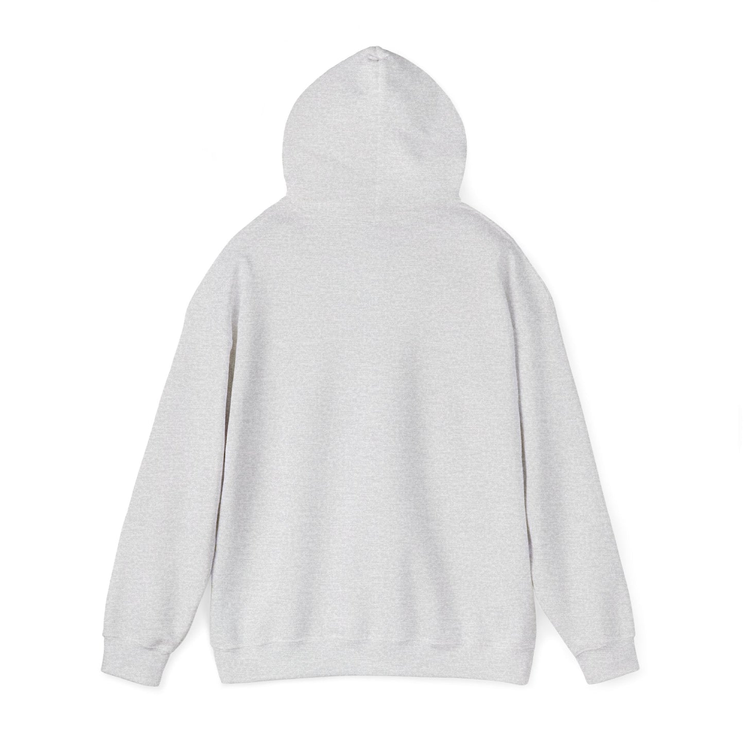 Men’s Raccoon Graphic Hoodie – Cute Animal Streetwear Sweatshirt – Cozy Unisex Pullover - JennyCool