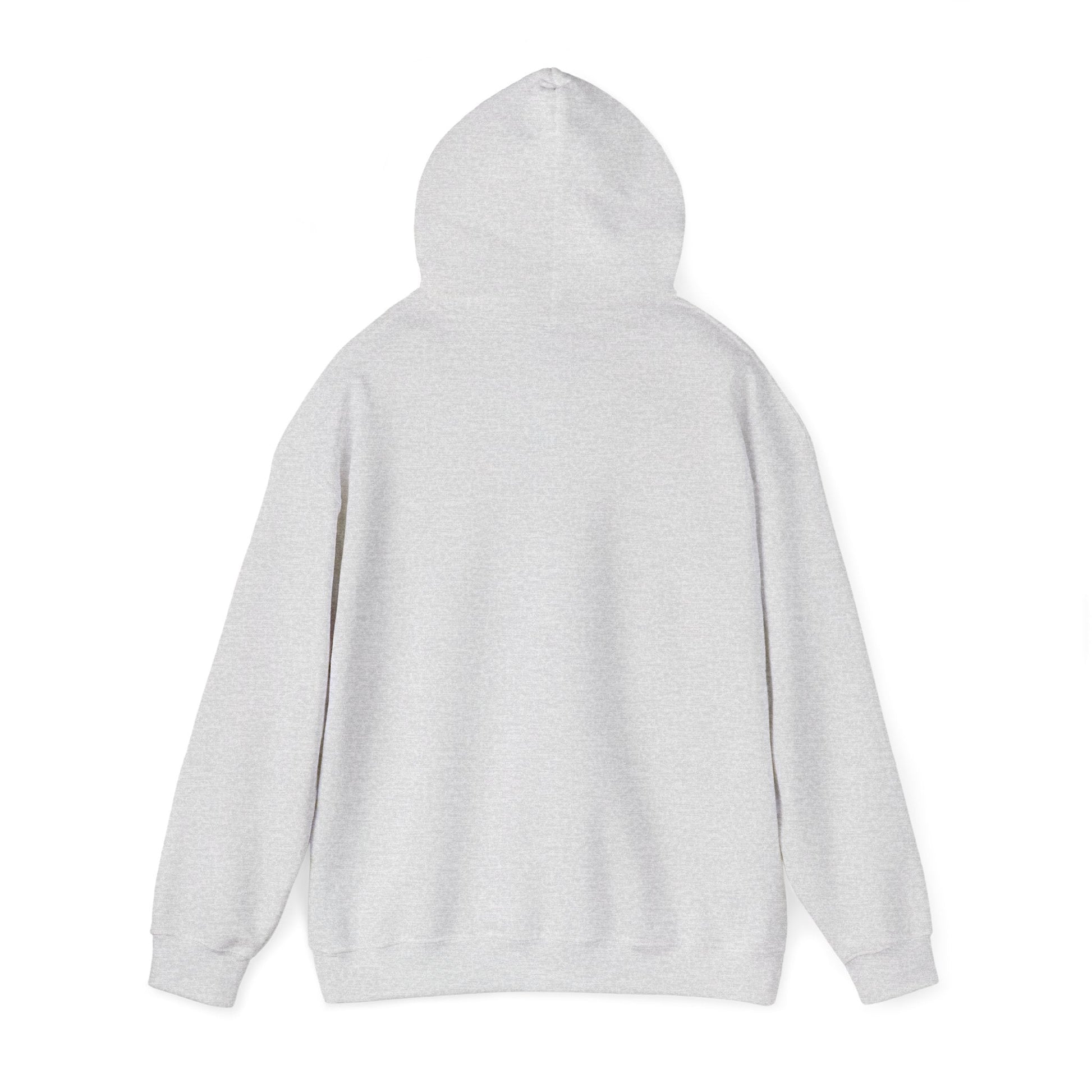 Men’s Raccoon Graphic Hoodie – Cute Animal Streetwear Sweatshirt – Cozy Unisex Pullover - JennyCool