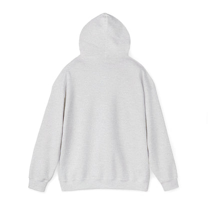 Men’s Raccoon Graphic Hoodie – Cute Animal Streetwear Sweatshirt – Cozy Unisex Pullover - JennyCool