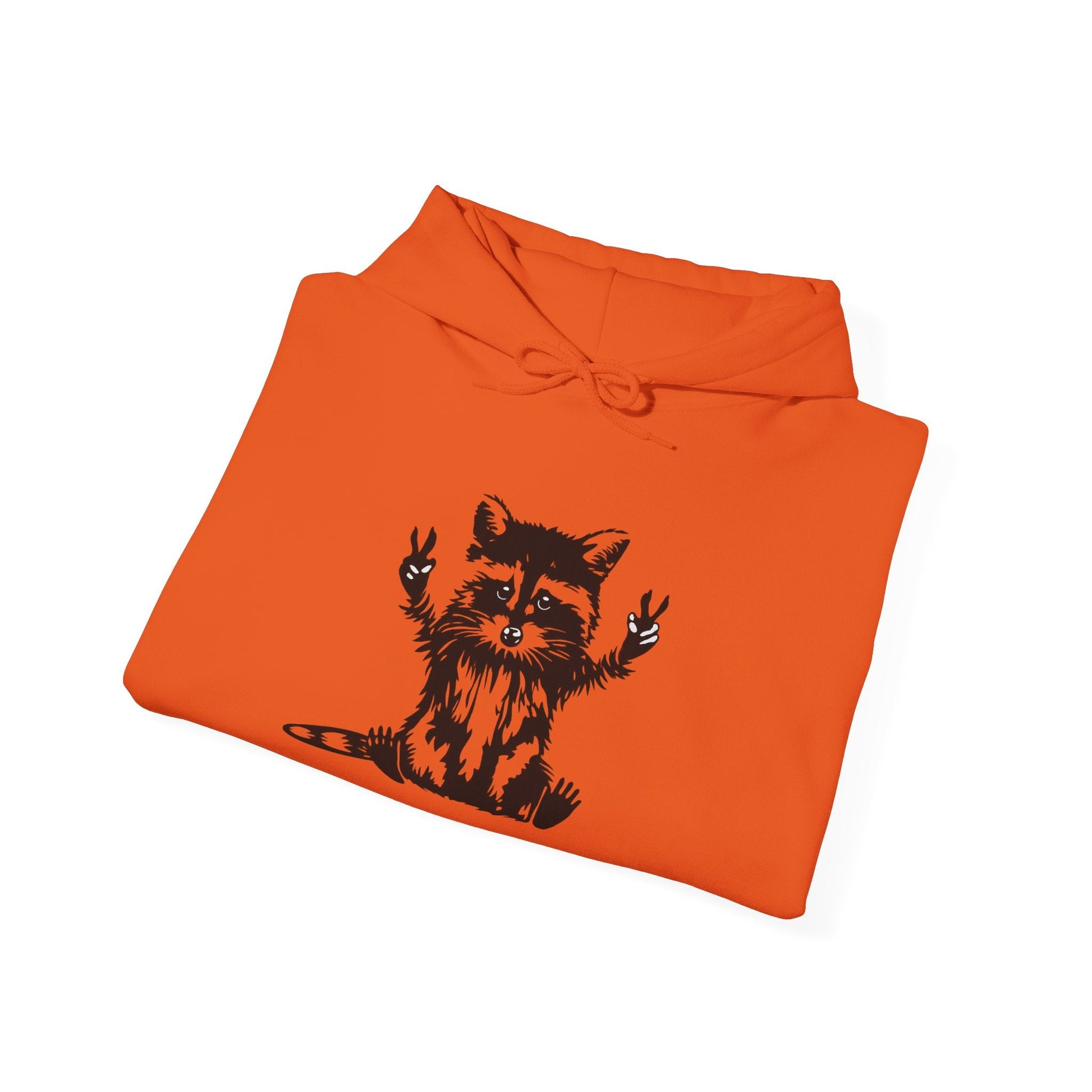 Men’s Raccoon Graphic Hoodie – Cute Animal Streetwear Sweatshirt – Cozy Unisex Pullover - JennyCool