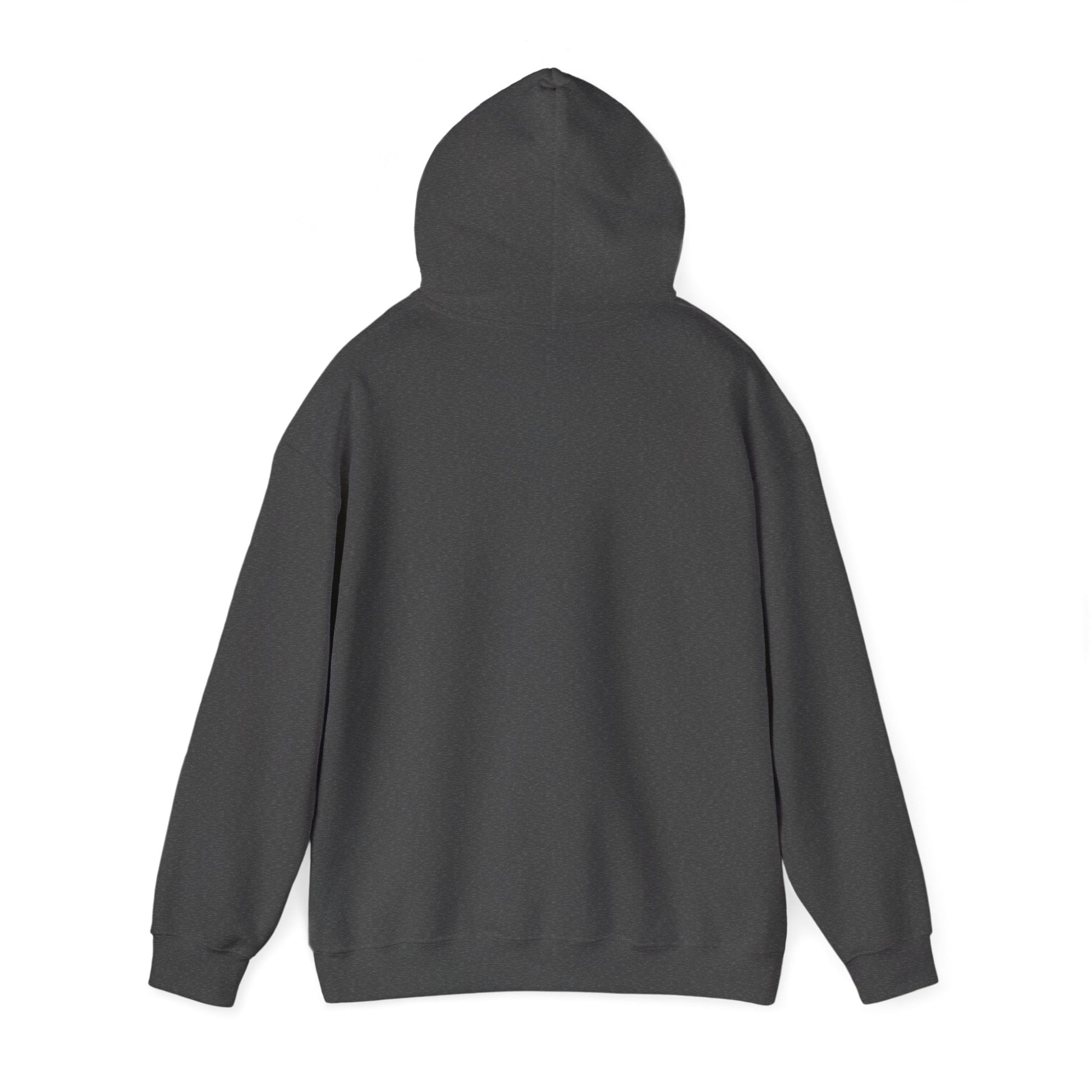 Men’s Raccoon Graphic Hoodie – Cute Animal Streetwear Sweatshirt – Cozy Unisex Pullover - JennyCool