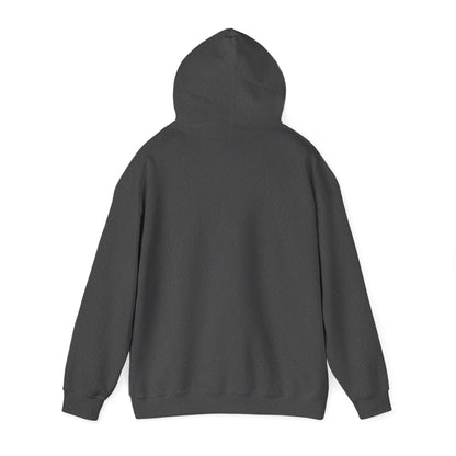 Men’s Raccoon Graphic Hoodie – Cute Animal Streetwear Sweatshirt – Cozy Unisex Pullover - JennyCool
