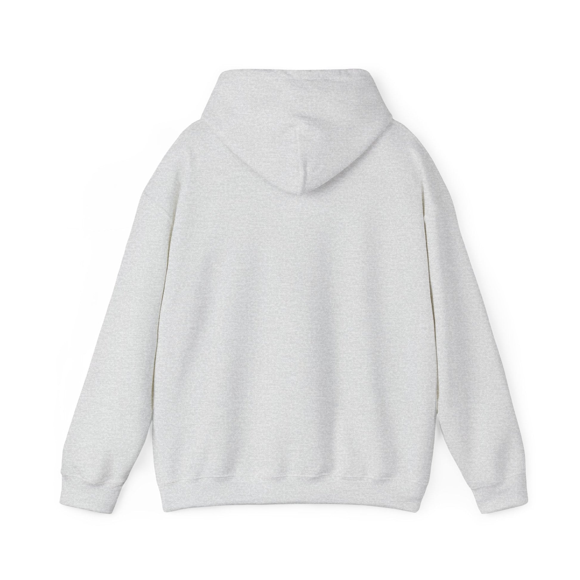 Men’s Raccoon Graphic Hoodie – Cute Animal Streetwear Sweatshirt – Cozy Unisex Pullover - JennyCool