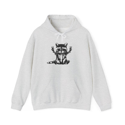 Men’s Raccoon Graphic Hoodie – Cute Animal Streetwear Sweatshirt – Cozy Unisex Pullover - JennyCool