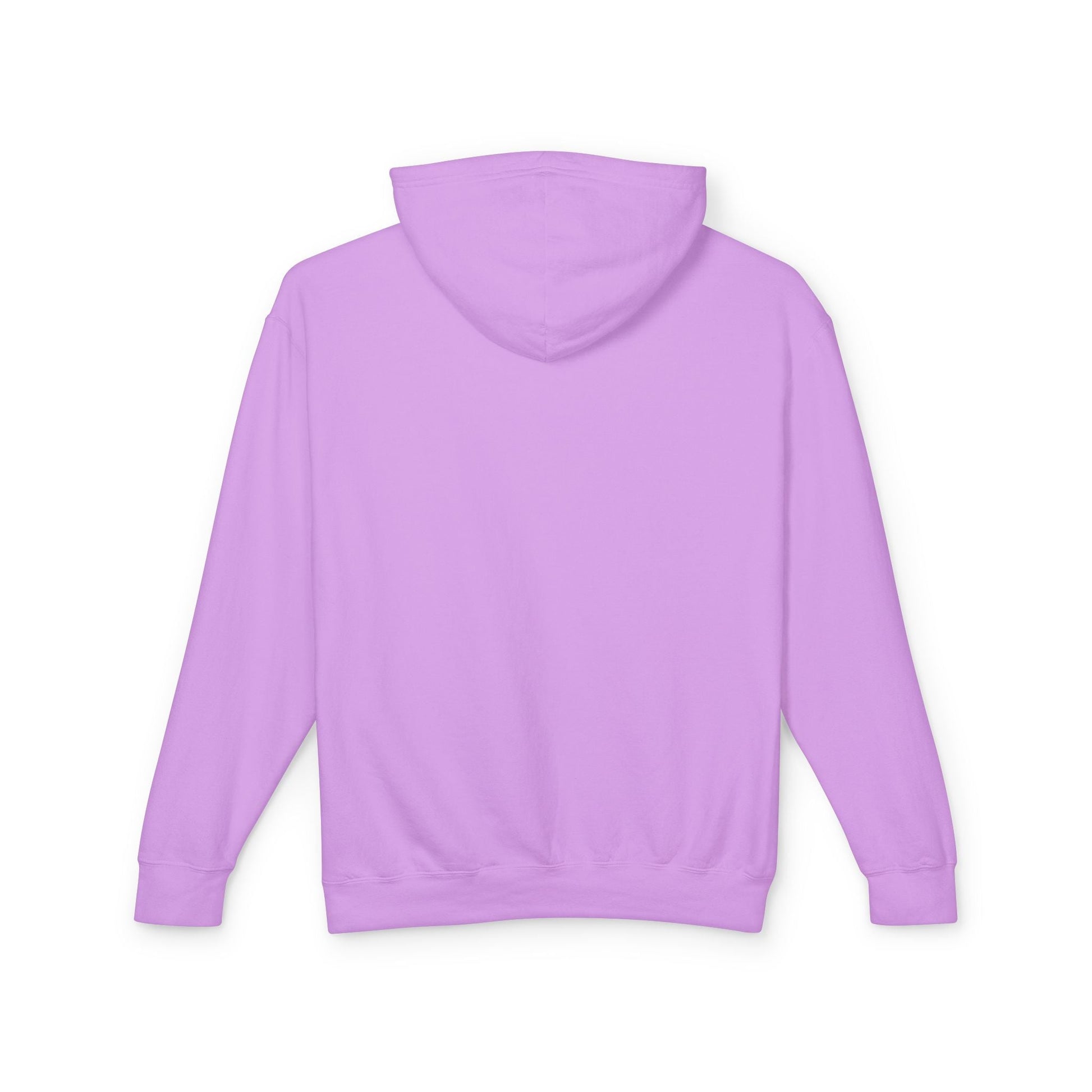Women’s Peace on Earth Raccoon Hoodie – Colorful Graphic Lightweight Pullover - JennyCool