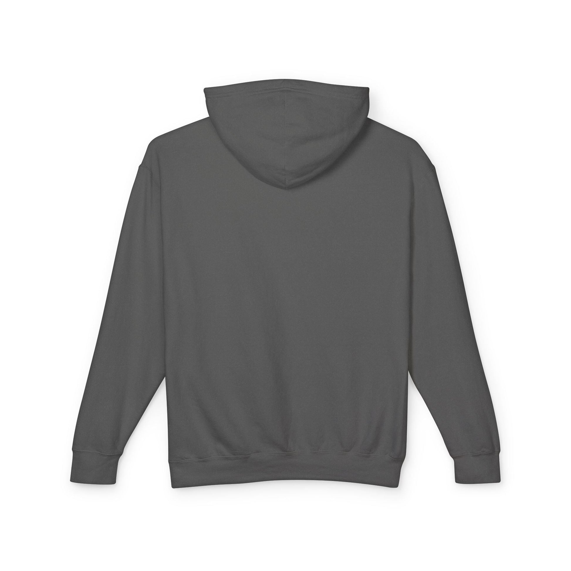 Women’s Peace on Earth Raccoon Hoodie – Colorful Graphic Lightweight Pullover - JennyCool