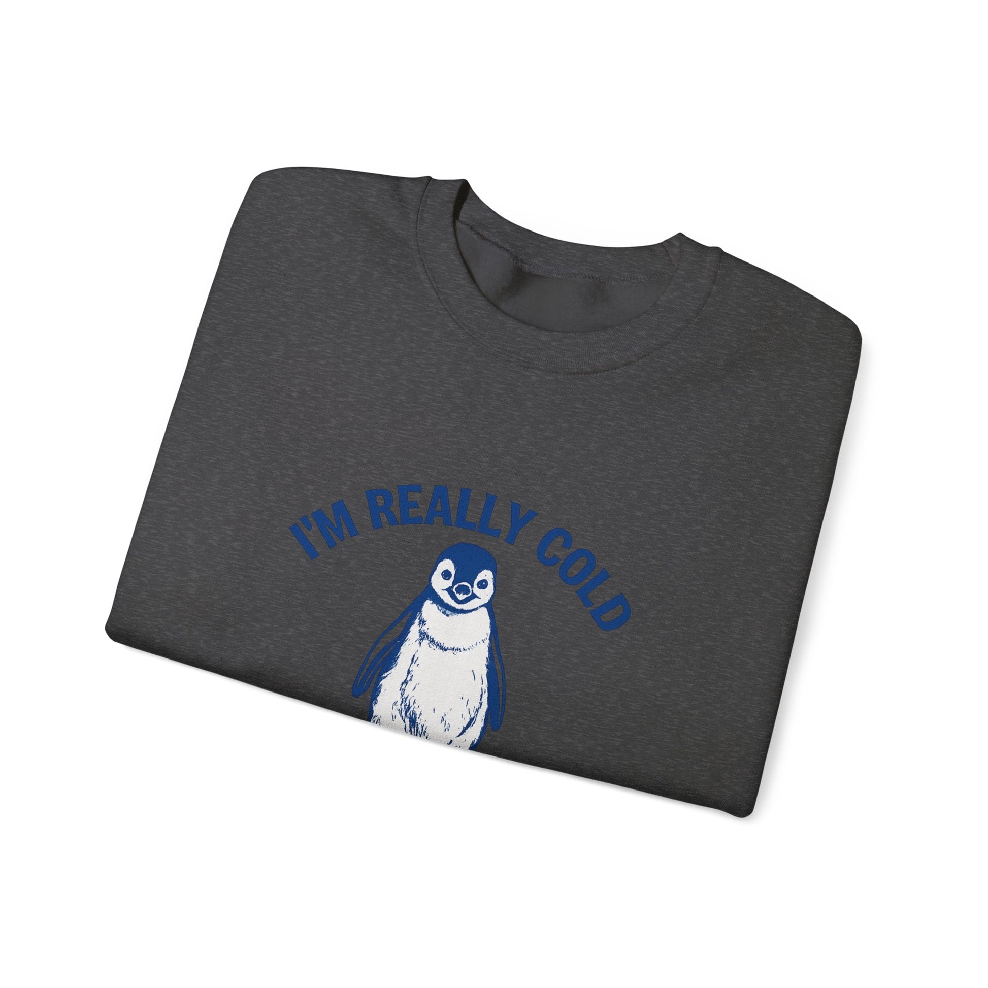 Women’s Penguin Graphic Sweatshirt – I’m Really Cold But I’m Being Brave About It – Cute Cozy Crewneck - JennyCool
